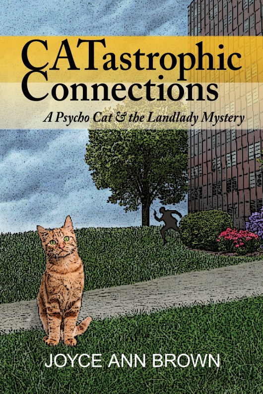 CATastrophic Connections Revised Front Cover (2)