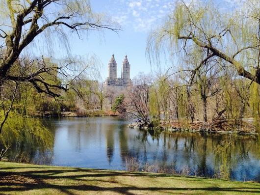 Central Park (2)